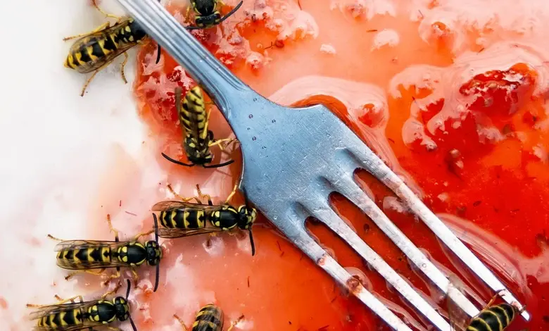 Wasp on fruit with fork