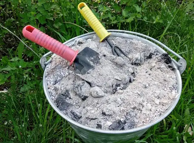 Kbelík s popílkem a zahradními nástroji na trávníku.