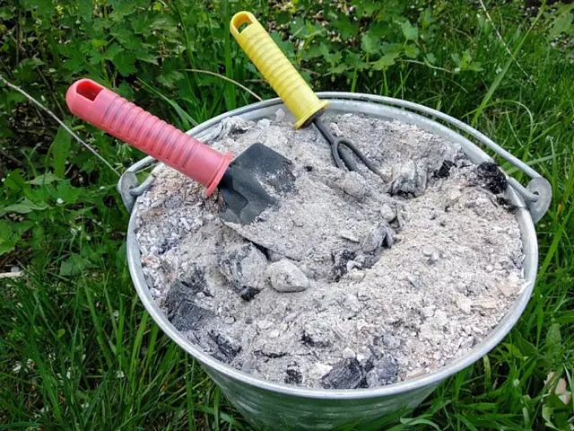 Kbelík s popílkem a zahradními nástroji na trávníku.